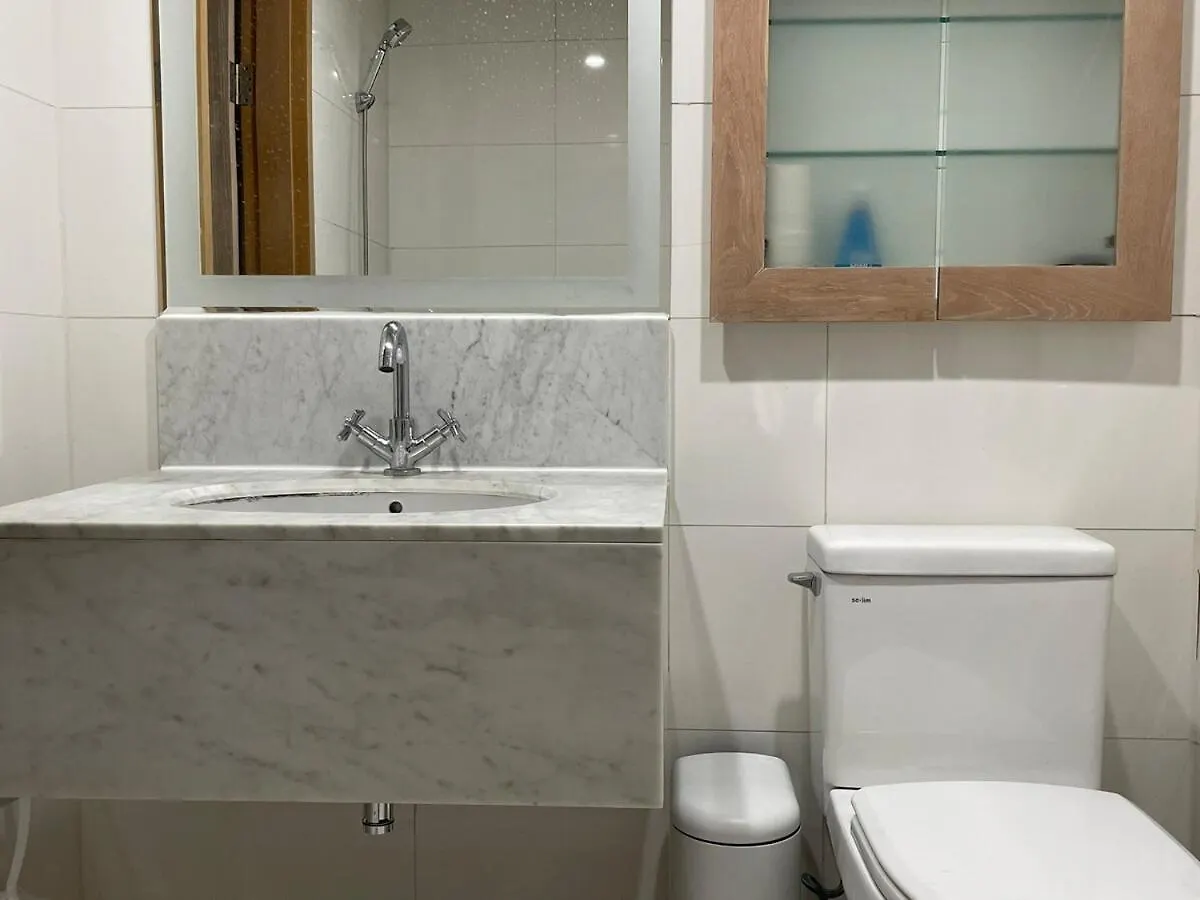 Gangnam Penthouse Daire Seul